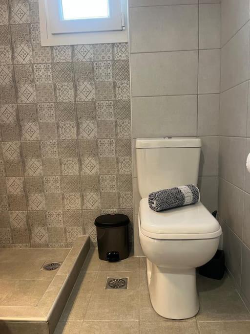 Eirini'S House Apartment Paralia Dionysiou Ngoại thất bức ảnh
